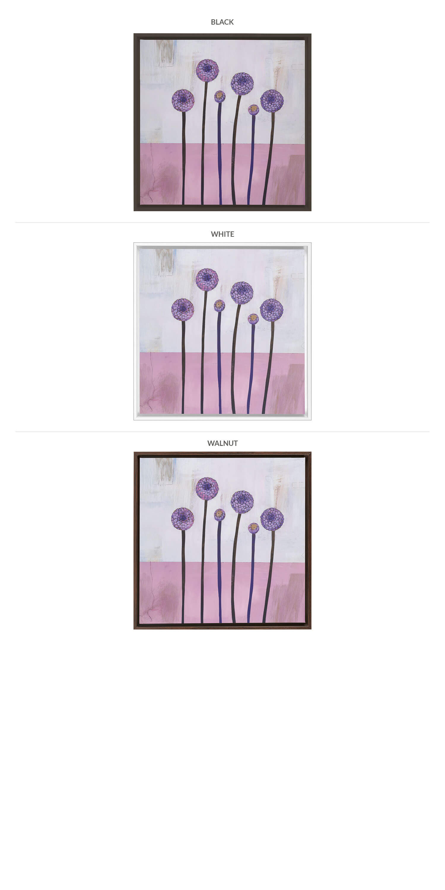 Three Framing Options - Black, White and Walnut