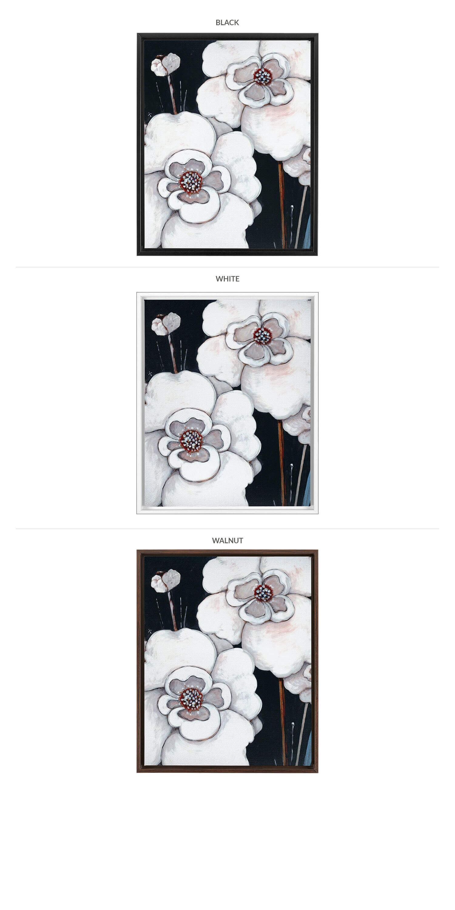 Three Framing Options - Black, White and Walnut