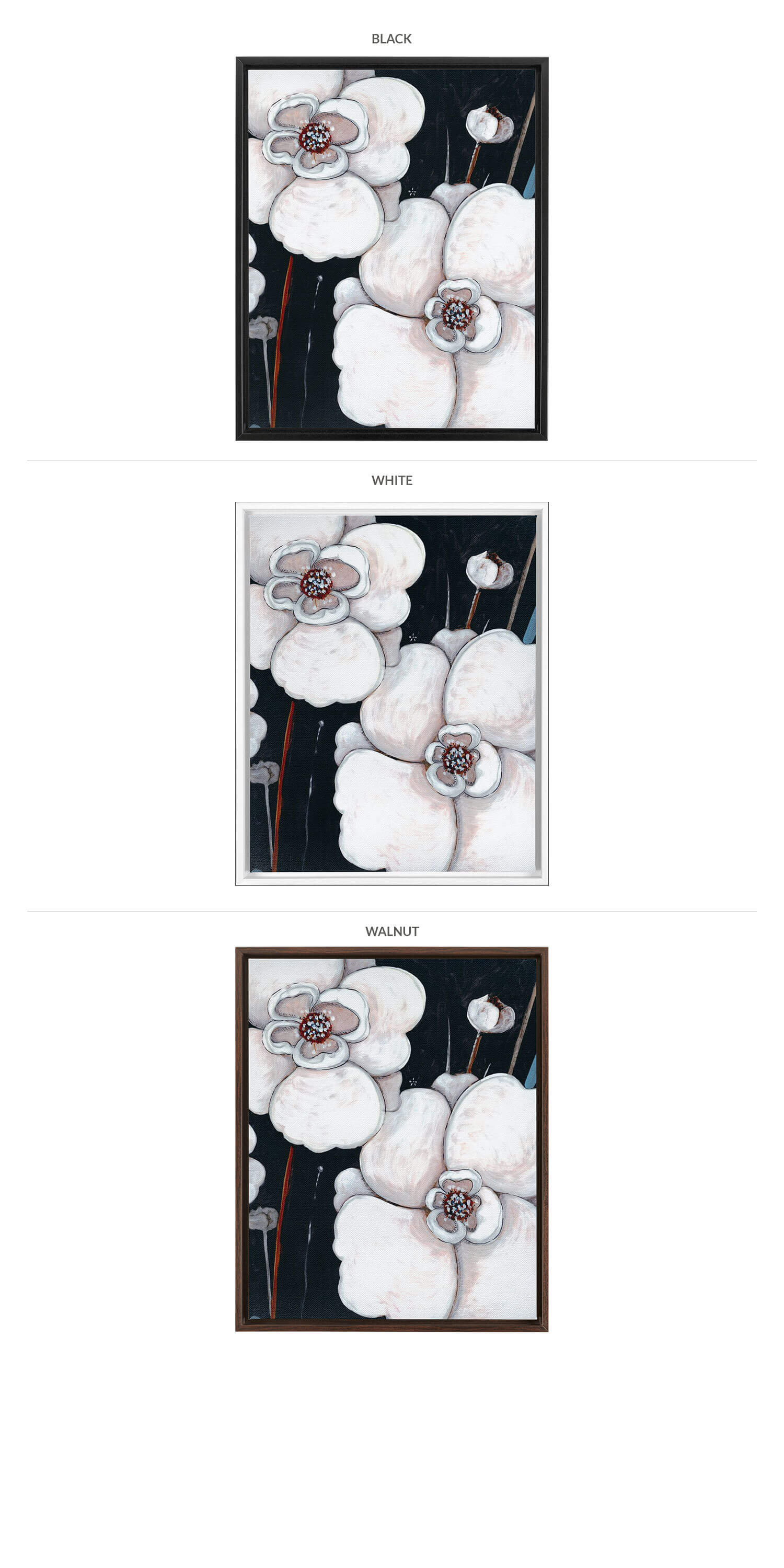 Three Framing Options - Black, White and Walnut