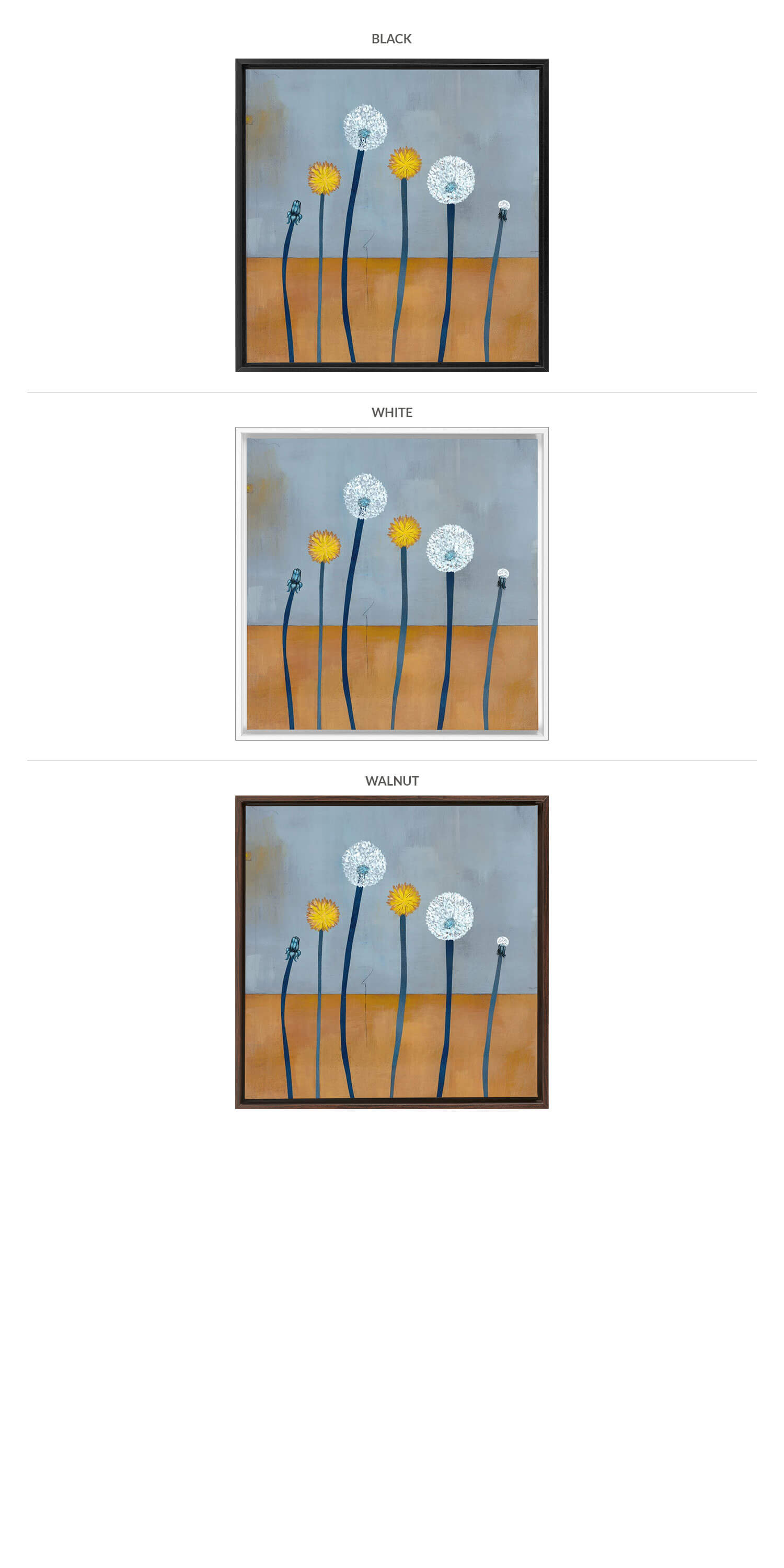 Three Framing Options - Black, White and Walnut