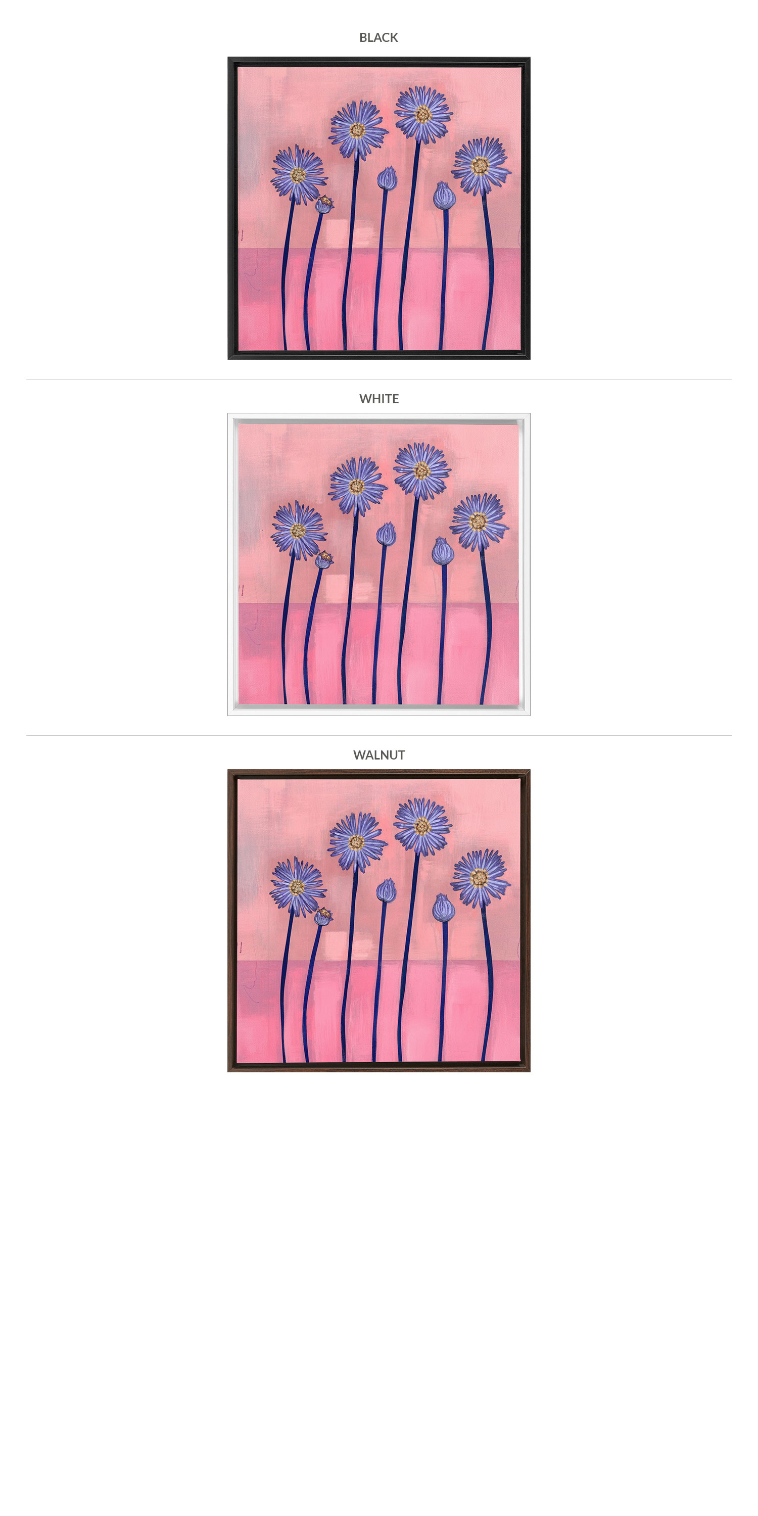 Three Framing Options - Black, White and Walnut