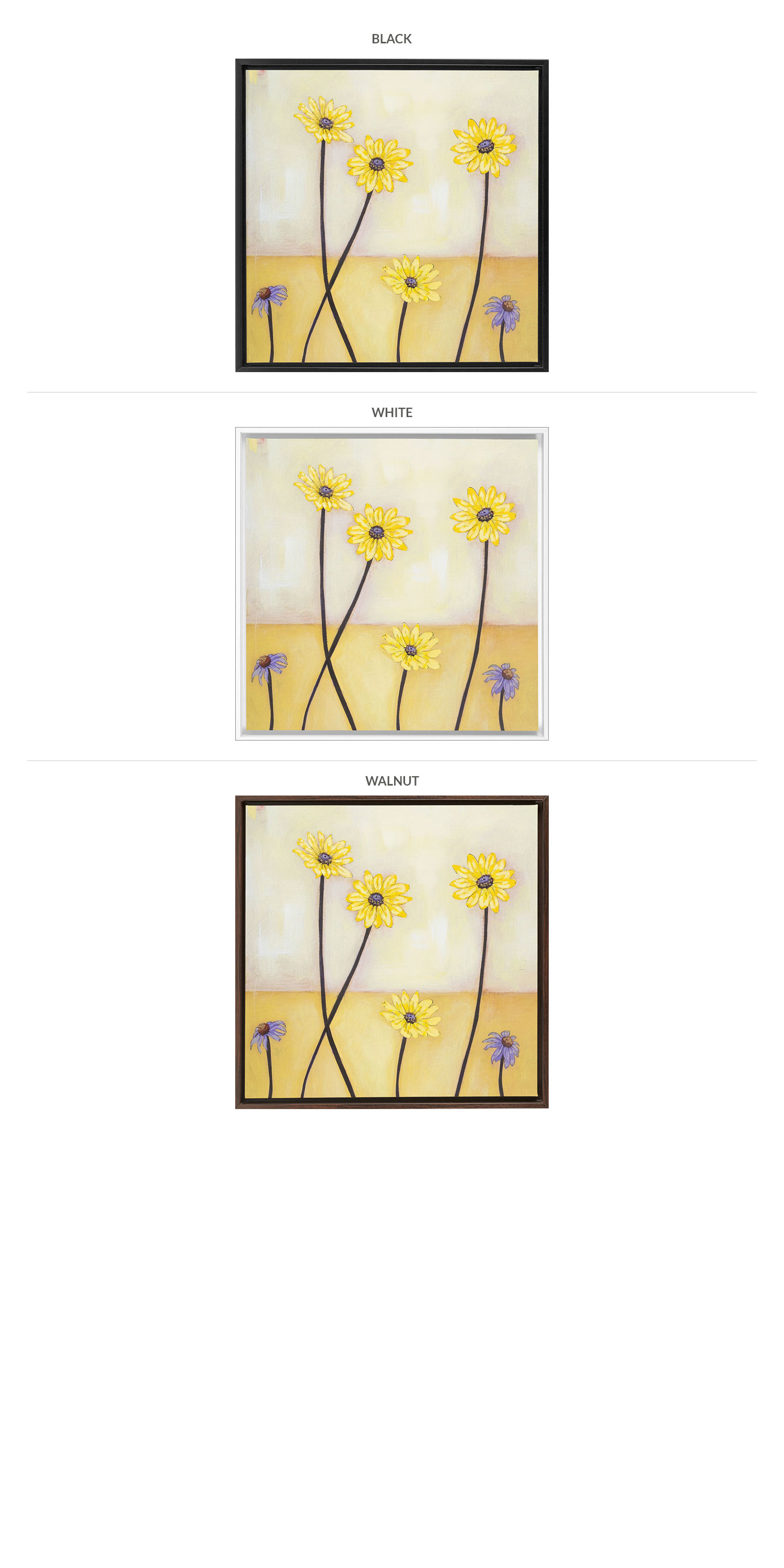 Three Framing Options - Black, White and Walnut