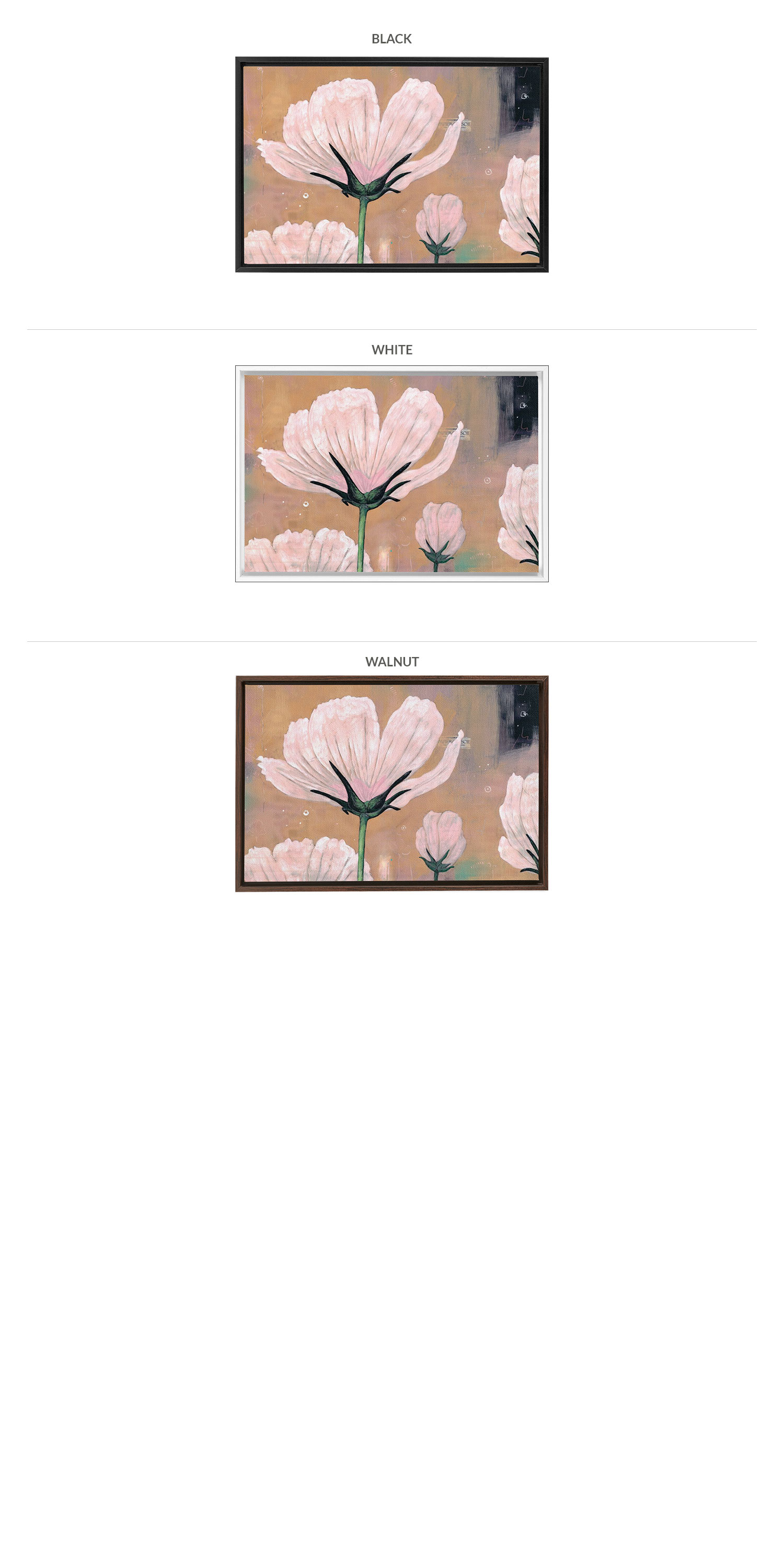 Three Framing Options - Black, White and Walnut